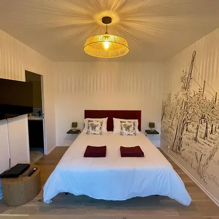Le Petit Chardonnay - Centre-ville - Gare A 5min דיז'ון